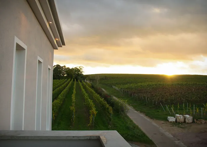 Trautwein - Winzerhotel Am La Roche מלון פלונהיים